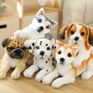 Hc D  ʂ 킢 A  { Ck ʂ oYj 킢 X[p[\tg _炩 a  bNX