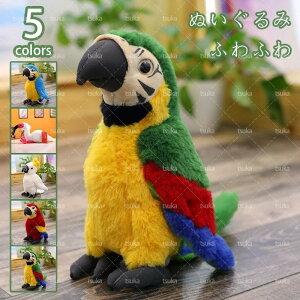 ʂ ʂ  TCY  D LO a ޏ v[g Cxg j ӂӂʂ L[g n