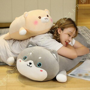 ʂ  u^ D u^ j  u^ 傫 ܂ʂ ӂӂʂ u[ X IV ӂӂ _炩