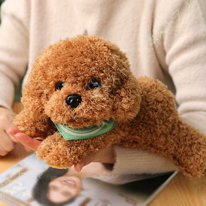 {ɖ錢̂ʂ݃gCv[h ʂ  nʂ   u Mtgv[g NX}X j CeA