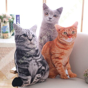  lR ʂ AAj} ӂӂʂ l` Ԃ q v[g Mtg  L ʂ n ˂ ӂӂ