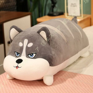 TCY ʂ Ղʂ gʂ ^CK[ʂ Ƃ JbR ݊ CeA  Q 낢 Q