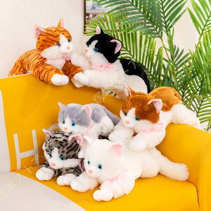 A L ʂ lR 킢  Aj} [ybg 3D L̂ʂ AȔL̂ʂ vVIȂ킢L̖ʂ