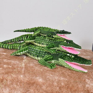 ʂ  j 傫ʂ ɕ k ʂ ܂ ʂ ӂӂʂ j wj ̓ v[g