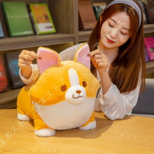 R[M[ ʂ rbOTCY  hbO  _炩  Q  ܂܂ NbV  ObY 킢  a 