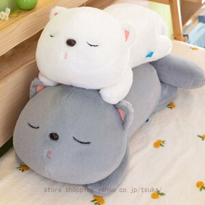 L ʂ lR ӂӂ 傫  A 킢   C  @\ ʂ NX}X v[g GG