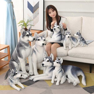 ʂ nXL[  nXL[̂ʂ Aj} ʂ  Ck nXL[ ܂ ʂ   ̂ʂ 