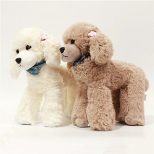 ʂ  Ck ʃv[h  ӂӂ  Aj} J[I\   CeA  LbY   Lbg 