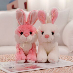 ETM ʂ   ʂ e ʂ NX}X v[ga 傫 ʂ Gӂӂ ʂ  