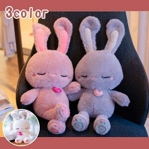 ʂ    A 60cm 傫  j Mtg LO ӂӂ ʂ Aj}NbV YQ܂  sN