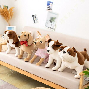 Qʂ 55cm     Ck ʂ  킢 v[g xbh G j a NX}X Ԃ Mtg ii YQ 