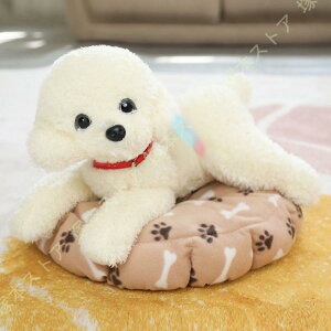 ʂ  gCv[h  Aj}  v~A ˂ނ˂ 􂦂 ʂ   ̓ u ʂ DOG ӂӂ 