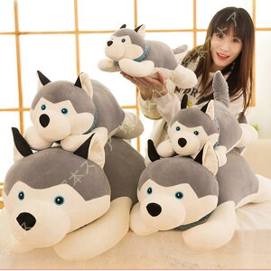 ʂ   傫TCY  킢E} ʂ   Gӂӂ/ ̎q av[g w v[g  YQ