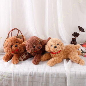  ʂ l` 킢  Ck hbO VxAnXL[ efBhbO q  ʂ  Ck nXL[ 45cm ܂ ʂ 