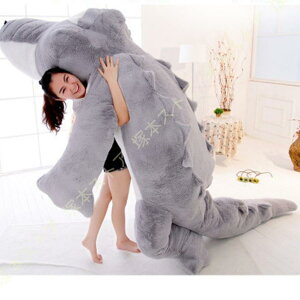 ʂ k j  Carocodylia  NbV CeA  q   킢 ޏ ӂӂŖ _炩 Sn