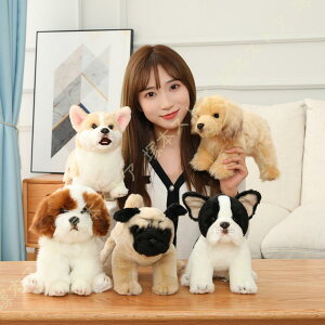  ʂ A Aȃ{[_[R[ 킢  ̂ʂ l` H|i Ck  NX}X q a LO