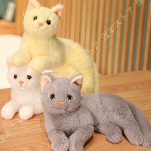 ʂ L X @\ ʂ ʂ ˂ 傫 ˂ Lʂ ăNbV ʂ ˂  L ʂ L