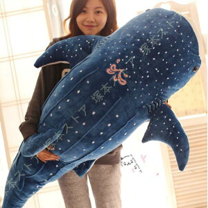 ʂ NW ~ 傫   _炩  킢 q  ʂ NbV  c j o^Cf[