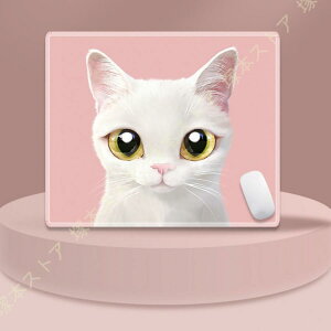 }EXpbh  }EXpbh k  Aj} w}EXΉ }EXpbh w p\R _炩 Ȃ m[gp\R}bg