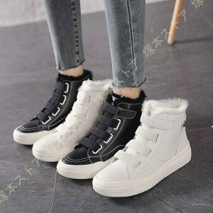 Xm[u[c fB[X V[gu[c {A  h h g EB^[u[c ~C ZC ۉ h gۂ   C ȌC {A