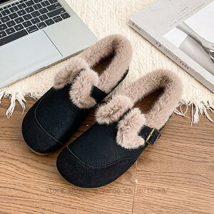 hC fB[X ȂC g JWA   ʋ ʊw p  L {A gC V[gu[c  {Au[c