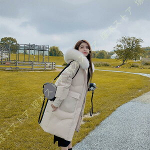 _ER[g AE^[ _E t[ht t@[ _EWPbg OR[g fB[X tH[} є   l i Ă΂ t 