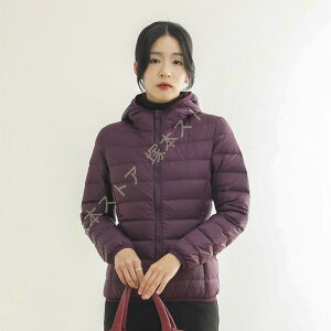 _EWPbg fB[X ~ oR V[g y  Cg_E RpNg [ܕt  t[h AE^[ g h h AEghA