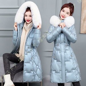 ȃR[g ȃWPbg fB[X є t@[t O _EWPbg AE^[ t[ht t@[ 傫TCY אg G R[g