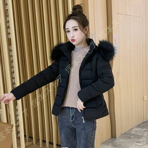 _ER[g fB[X ~ _EWPbg  t@[ y AE^[ R[g V[g R[g WPbg ~ t[h hh g  g ʋ