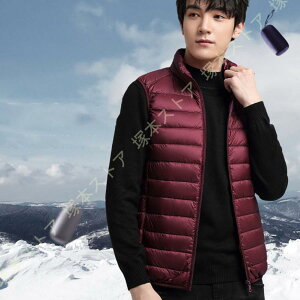 _ExXg Y y h h g EgCg Ci[_E X^hJ[ Ȃ Wbp[ LeBO  Ci[ Vv n 