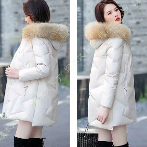 ȕ ȃ_ER[g fB[X AE^[ y h h V[ggbvX 킢 t[ht V[g _EWPbg H~  Ci[_E