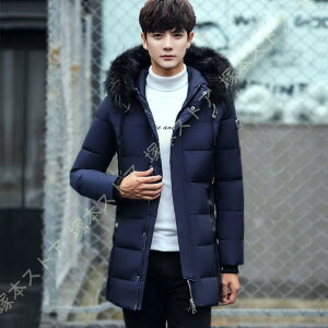 ȃWPbg Y h ~ O 傫TCY rWlX ȓ _ER[g K h h jp i ̓ AEghA y  j