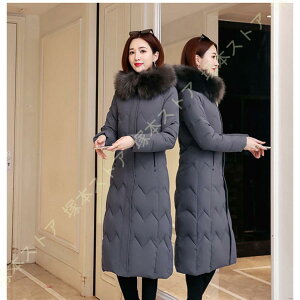 R[g fB[X H~  h t@[ t[ht _E WPbg  ʋ JWA _EWPbg fB[X y V[g g