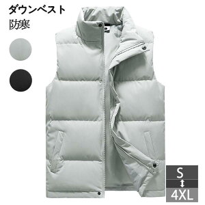 _ExXg Y V[gxXg h AEghA R[g xXg gbvX   Y xXg Cg_E  oR AE^[ Ȃ