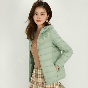 _EWPbg fB[X y Cg_E R[g g H V[g t[ht _E }Eep[J[ h RpNg [֗