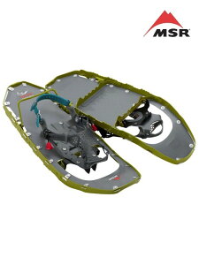 MSR GGXA[bCgjOGNXv[[ 22C` #X [40023]