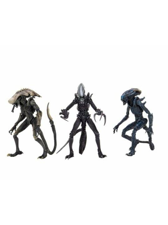楽天市場】ネカ AVP エイリアン ムービーデコレーション 3種セット 