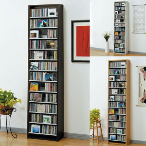 CDbN e 48.5cm CD540[ RN^[dlCDbN CD X fUC v Ɩp  {I CfbNXv[g10t DVDbN DVD[ (bN VFt I ubN