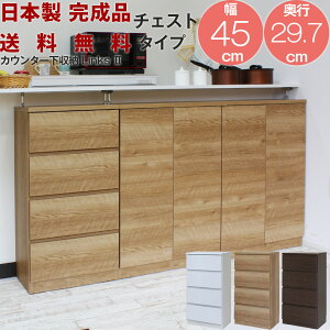 JE^[[ s30 o HI [^Cv i { ql̂ƒłSĎgJE^[[ Links2 NX2 ttbgo[W 45C 45 s29.7cm `FX