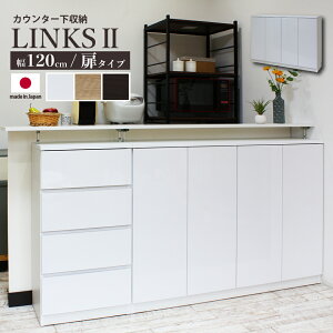 JE^[[ s30 A4 i ql̂ƒłSĎgJE^[[ JE^[[ Links2 NX2 ttbgo[W 120D 120 s30cm ^Cv vbV 