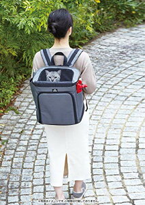 y|Cg2{z y500~N[|tz yeBI (Petio) necoco ړoł낮bNL[ O[ 