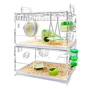 y|Cg2{z y500~N[|tz nX^[P[W  g[fUC |₷I ʋC 2KfUC ^т₷ AN 