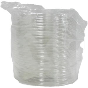 FP  Ŵ 25 e ǂԂ eCNAEg A ĝ Ɩp