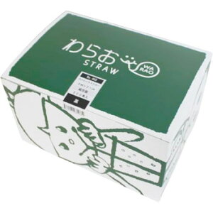 Xg[gXg[   500{ 468 W[Xp eCNAEg Cxg ܓ Ɩp