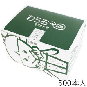 Xg[g Xg[   500{ 469 W[Xp eCNAEg Cxg ܓ Ɩp