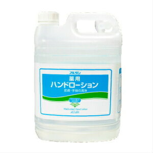 A^ p nh[V 畆 w̐ 4.8LAGz ێ