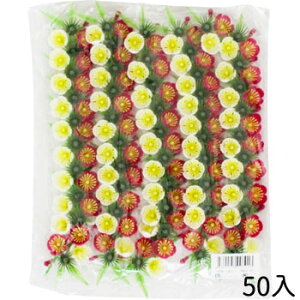 ���� ���|�~ A�|1 50��