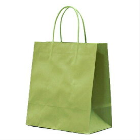 手提袋 STカラ－ズ グリ－ンティ－ 10枚 プレゼント ラッピングバッグ 紙袋 業務用 ギフト