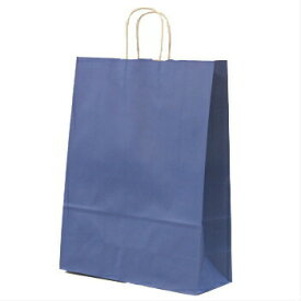 手提袋 HV100 マリン 10枚 ラッピングバッグ 紙袋 カラー無地 業務用 包装資材