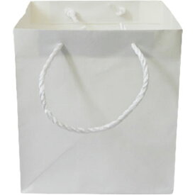 手提袋 グレ－トバック No,2 10枚 紙袋 マチ広 白無地 業務用 ブライダルバッグ